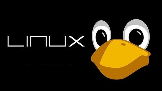 Linux系统服务器